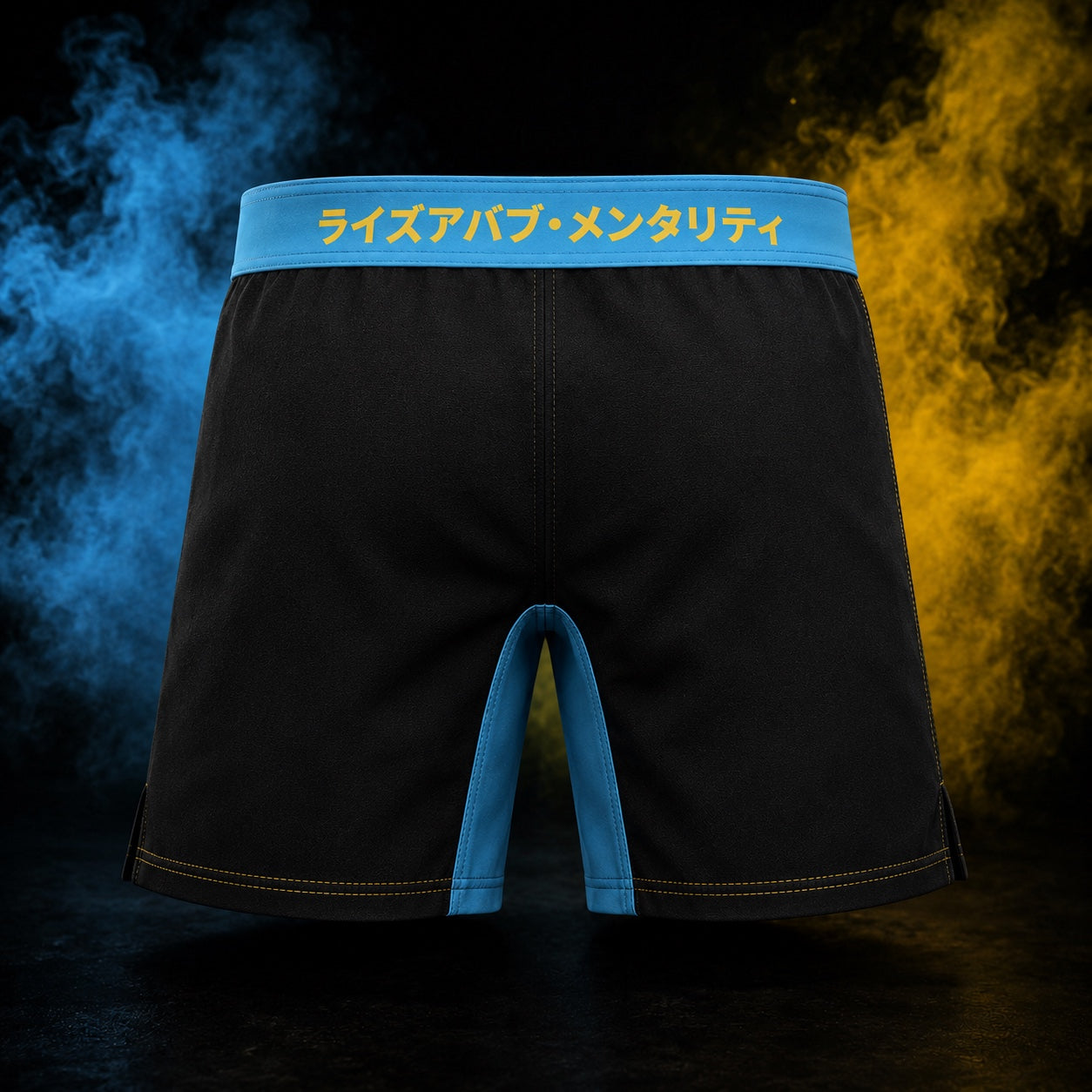 Blazing Ape kids BJJ shorts back view