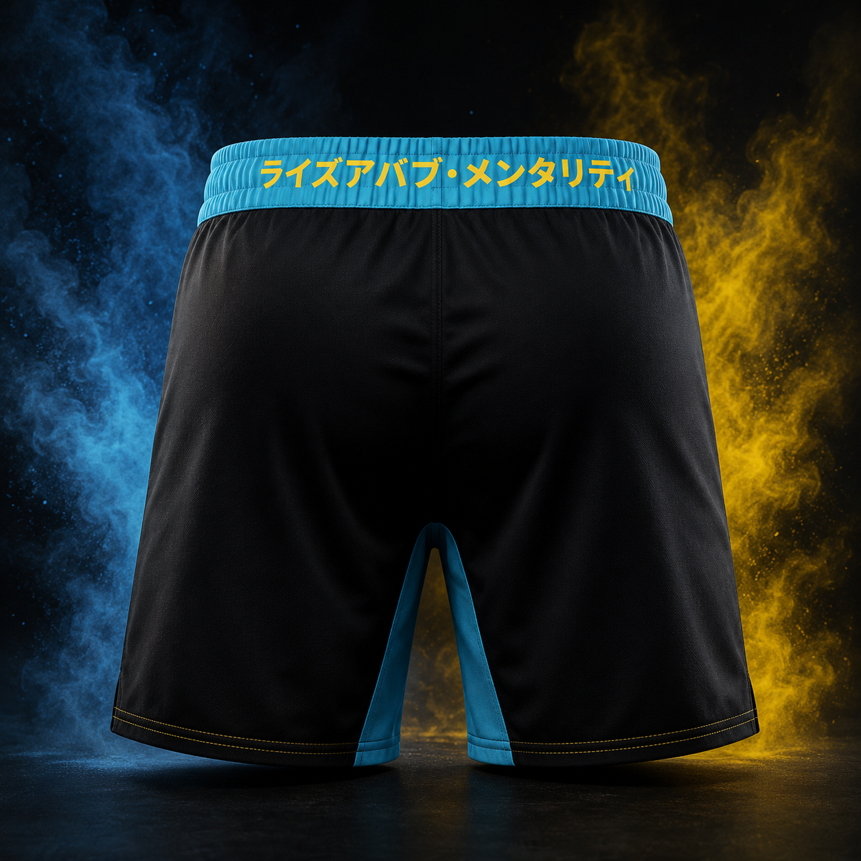 Blazing Ape men's BJJ shorts back view