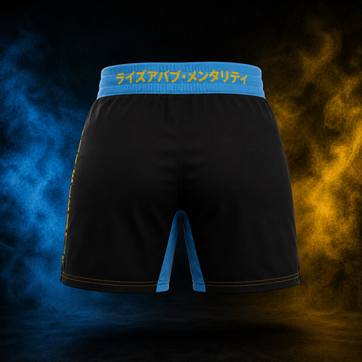 Blazing Ape women's BJJ shorts back view